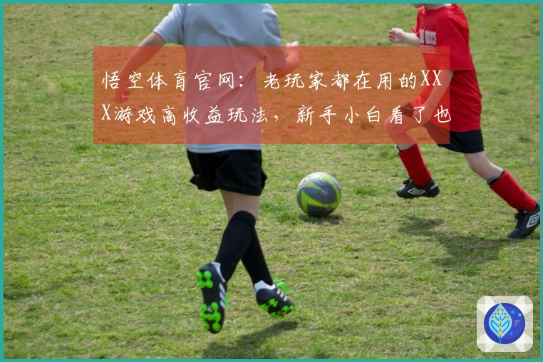 悟空体育官网：老玩家都在用的XXX游戏高收益玩法，新手小白看了也能懂！