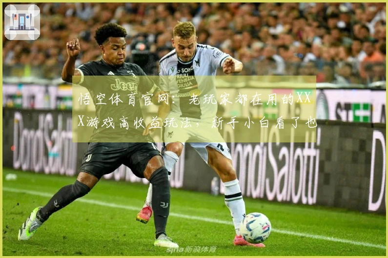 悟空体育官网:老玩家都在用的XXX游戏高收益玩法,新手小白看了也能懂!