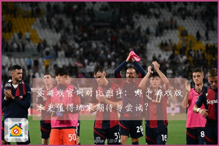 爱游戏官网对比测评：哪个游戏版本更值得玩家期待与尝试？